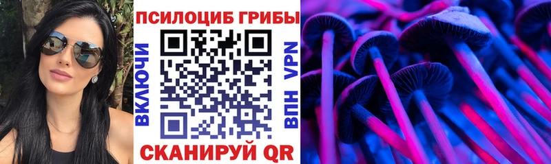 Псилоцибиновые грибы MAGIC MUSHROOMS Протвино