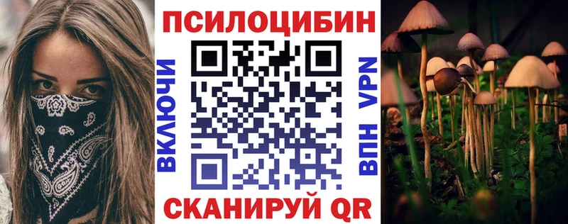 Купить где  Протвино  Галлюциногенные грибы прущие грибы 